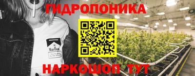 ГАЛЛЮЦИНОГЕННЫЕ ГРИБЫ Гусев