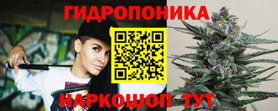ГАЛЛЮЦИНОГЕННЫЕ ГРИБЫ Гусев