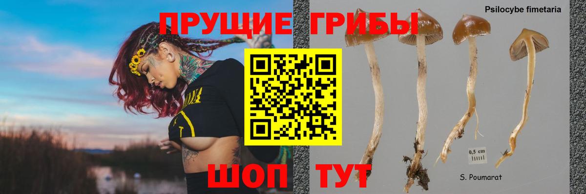 Псилоцибиновые грибы ЛСД Обь